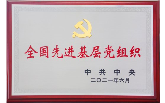 2021月6日大運集團黨委榮獲“全國先進基層黨組織”榮譽稱號